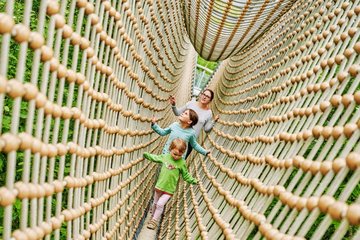 Auf der Hängebrücke kann man hoch über dem Waldboden durch die Baumkronen balancieren